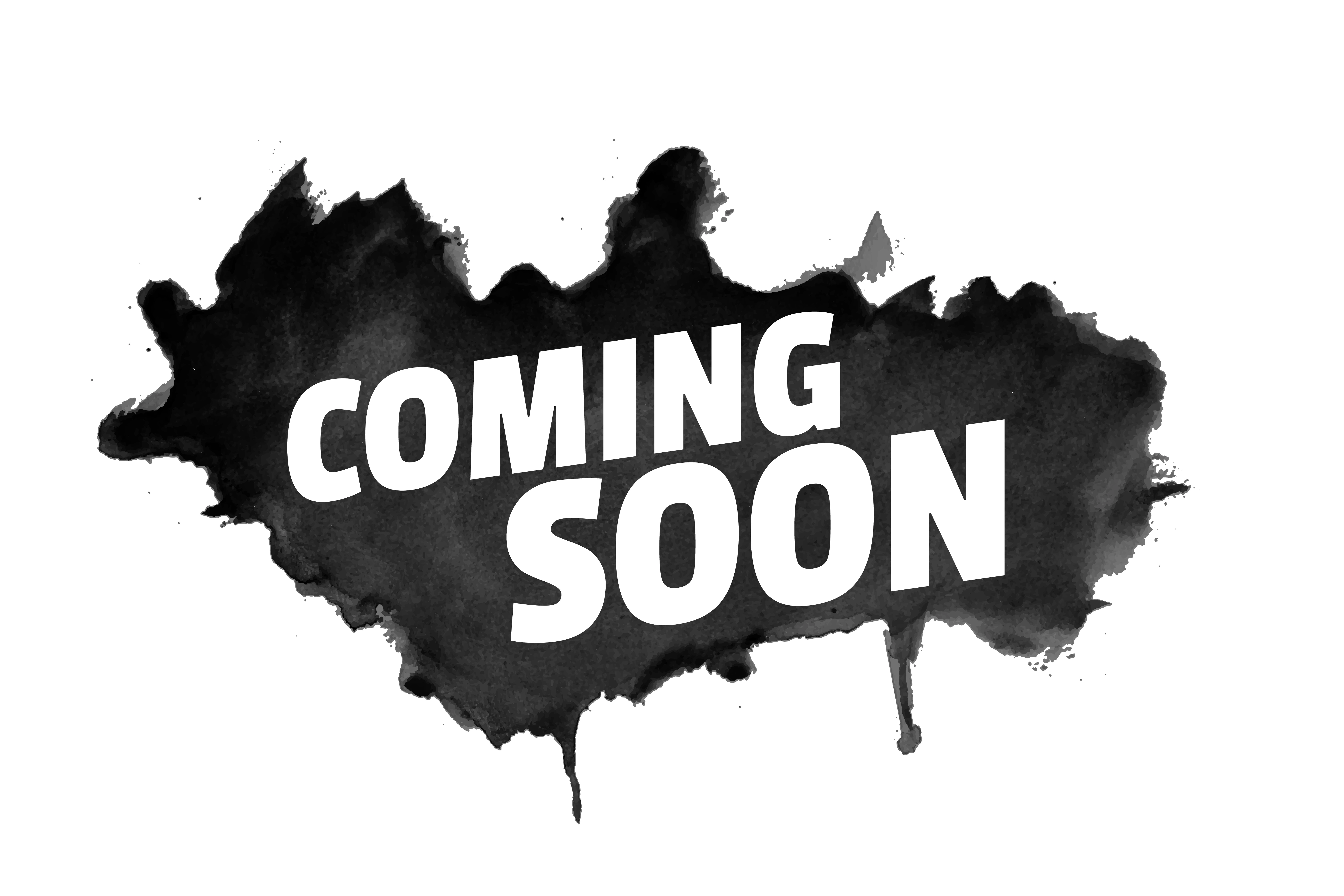 Project Image 3